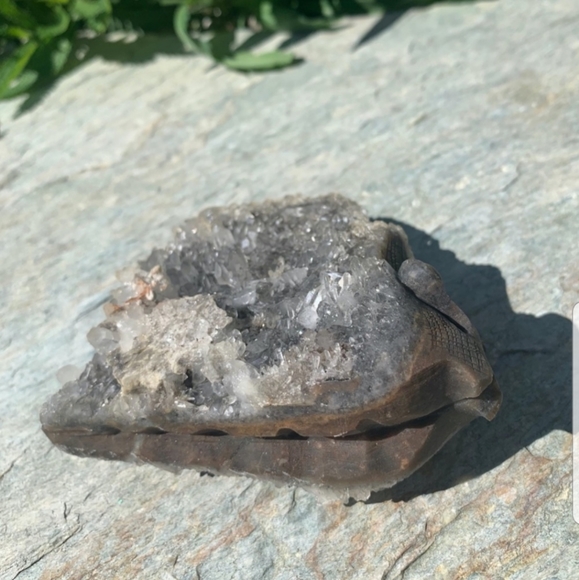 363g natural clear crystal cluster 🐌 - Picture 11 of 13